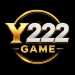 Y222 Game